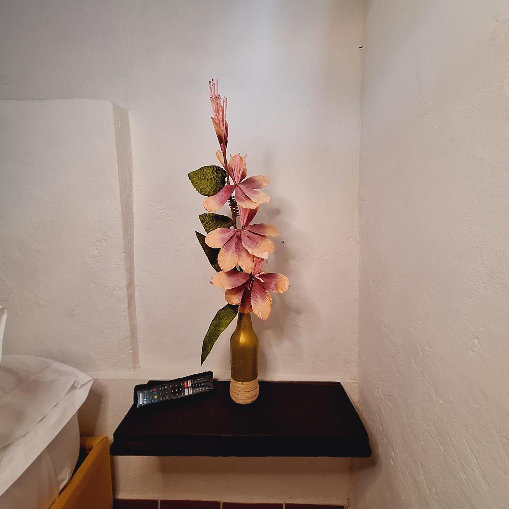 Hostal Colombian Gold San Gil Extérieur photo
